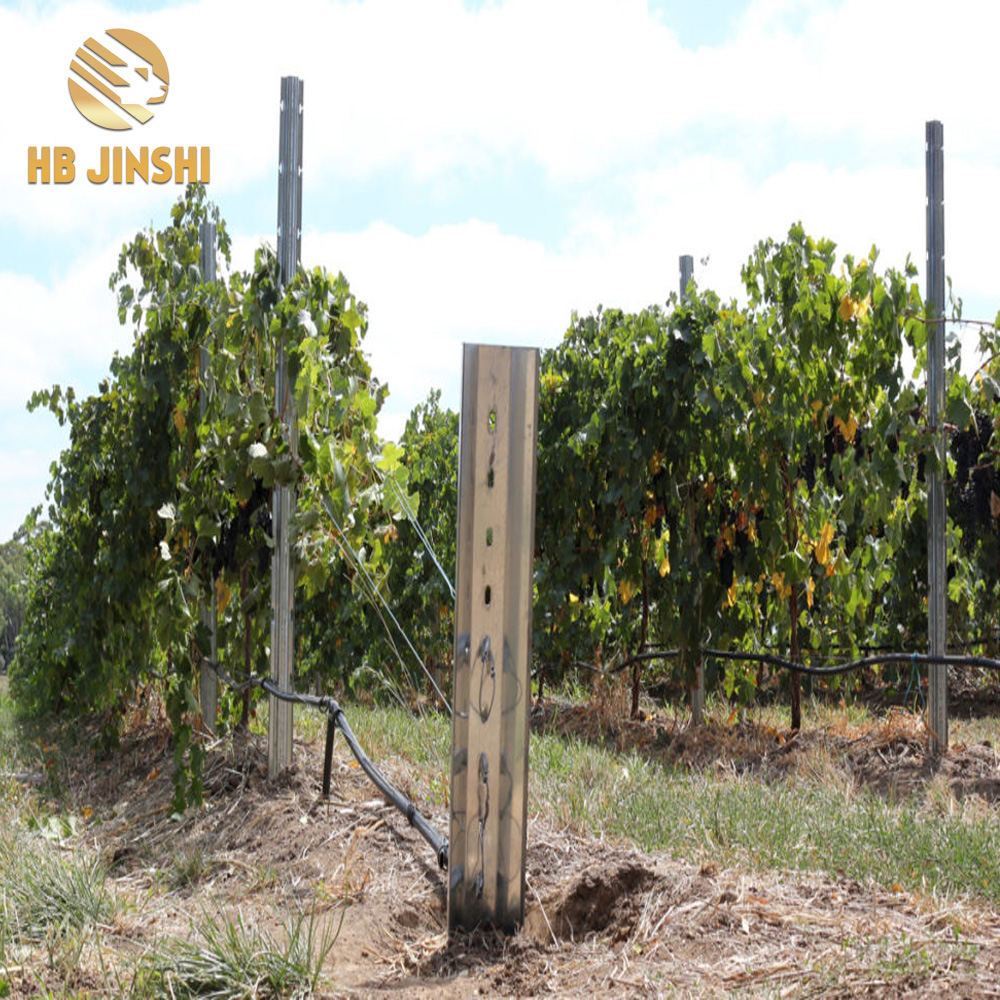 Galvanized Posts for Vineyards & Orchards fekitori muChina