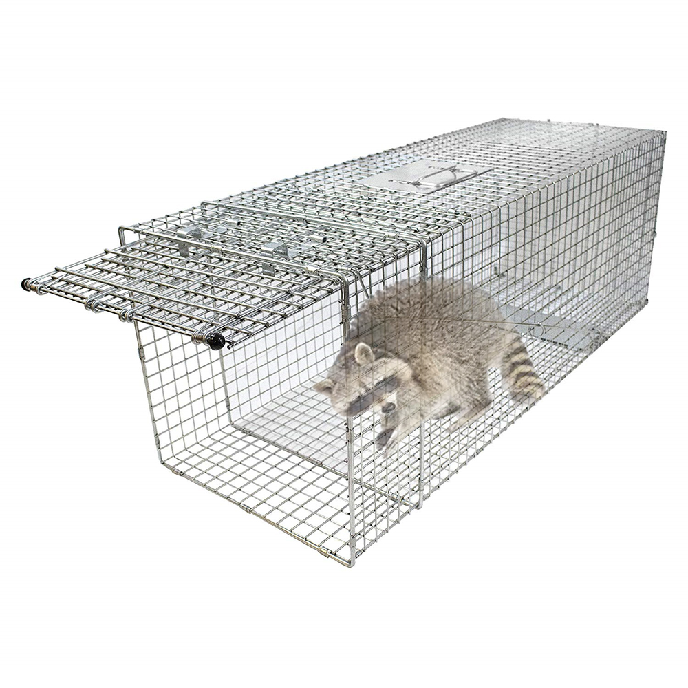 32 ນິ້ວ Galvanized Collapsible Cat Raccoon Cage Trap