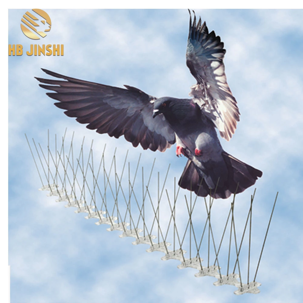 Stainless Steel Anti Pigeon Apparaten Bird Trap Cage Bird Spikes