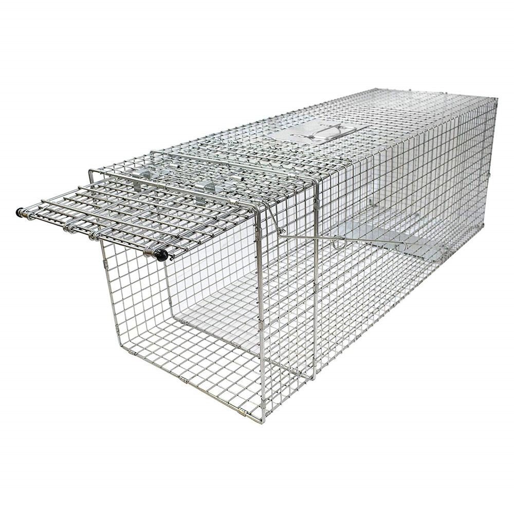 Collapsible Wire Cage Trap Cage ກັບດັກສັດ