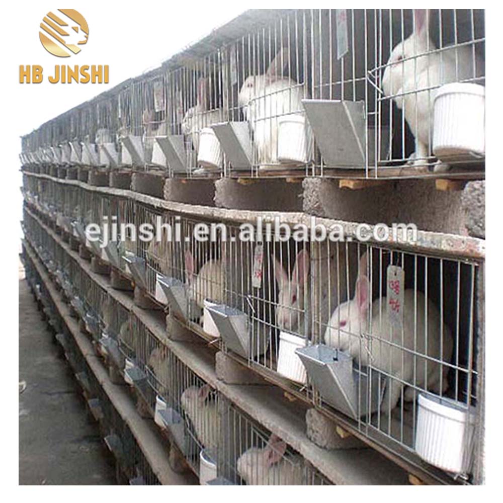 Galvanized Animal Caveis GALLINA Cages Of Rabbit