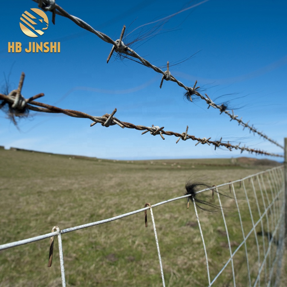 Cheap Galvanized Barbed Wire Price per kg