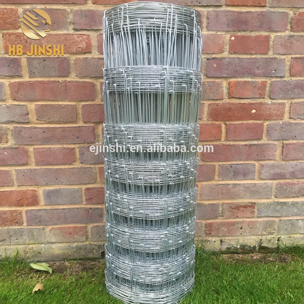 2019 Hot sales High quality Galvanized Grassland mesh