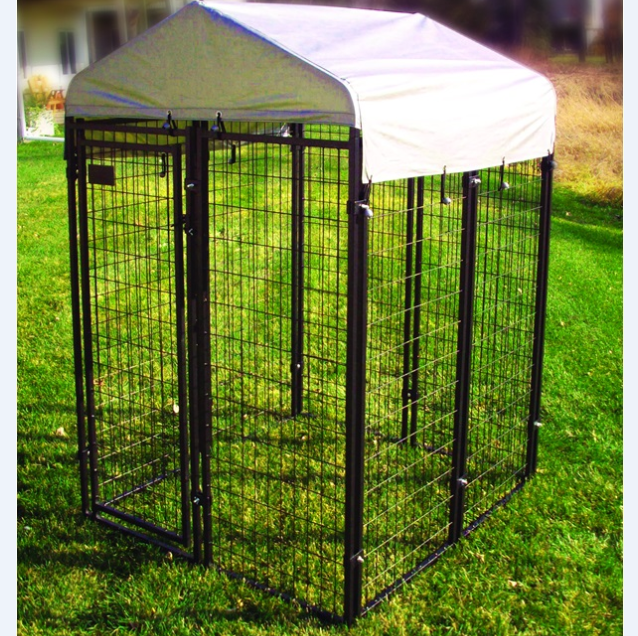 4x4x6' large welded dog kennel