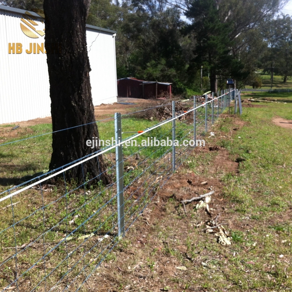 1.8m New Zealand Style Hot Dipped Galvanized Star Picket Farm Y Fencing Post
