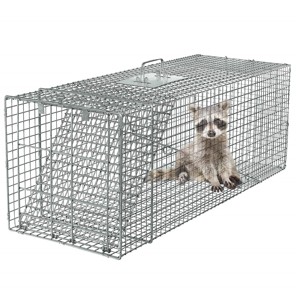 32"x10"x12" Humane Galvanized Collapsible Wild Cat Traps Animal Trap Cage