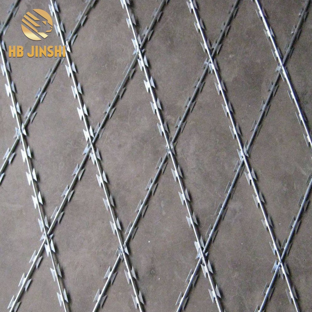 100mmx150mm Rectangular meshes Concertina wire
