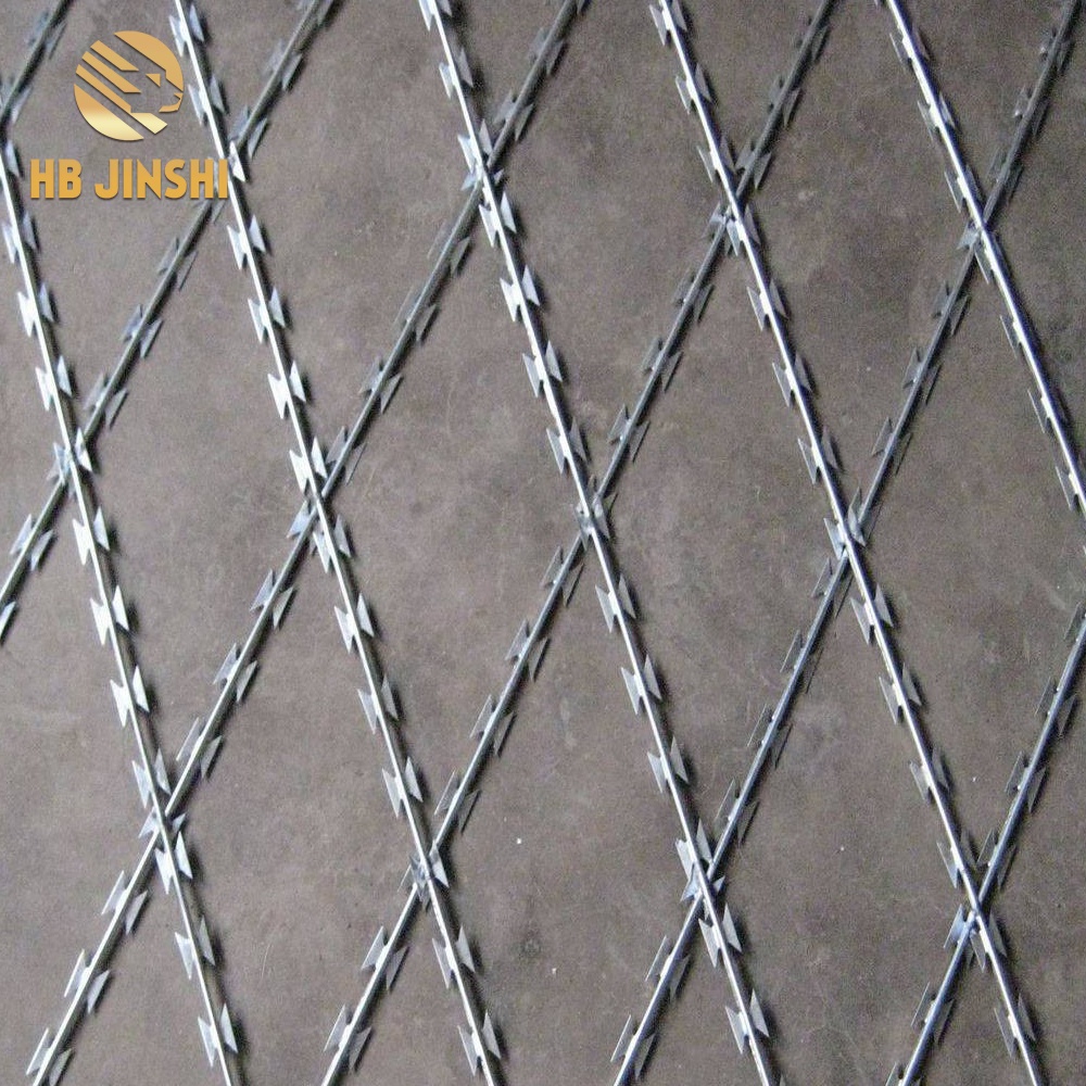 150mmx300mm Weld Razor Wire Mesh