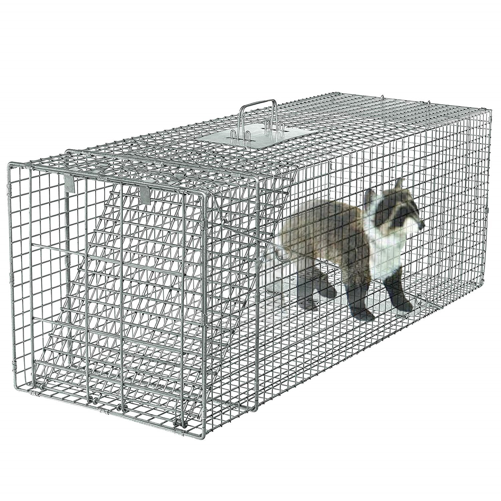 လူသားဆန်သော Collapsible Rodent Control Raccoon Wire Cage ထောင်ချောက်များ