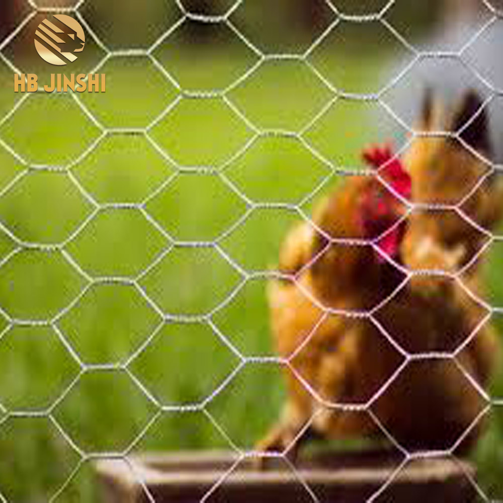 Gefligel Drot 1/2 Hex Mesh Poulet Drot