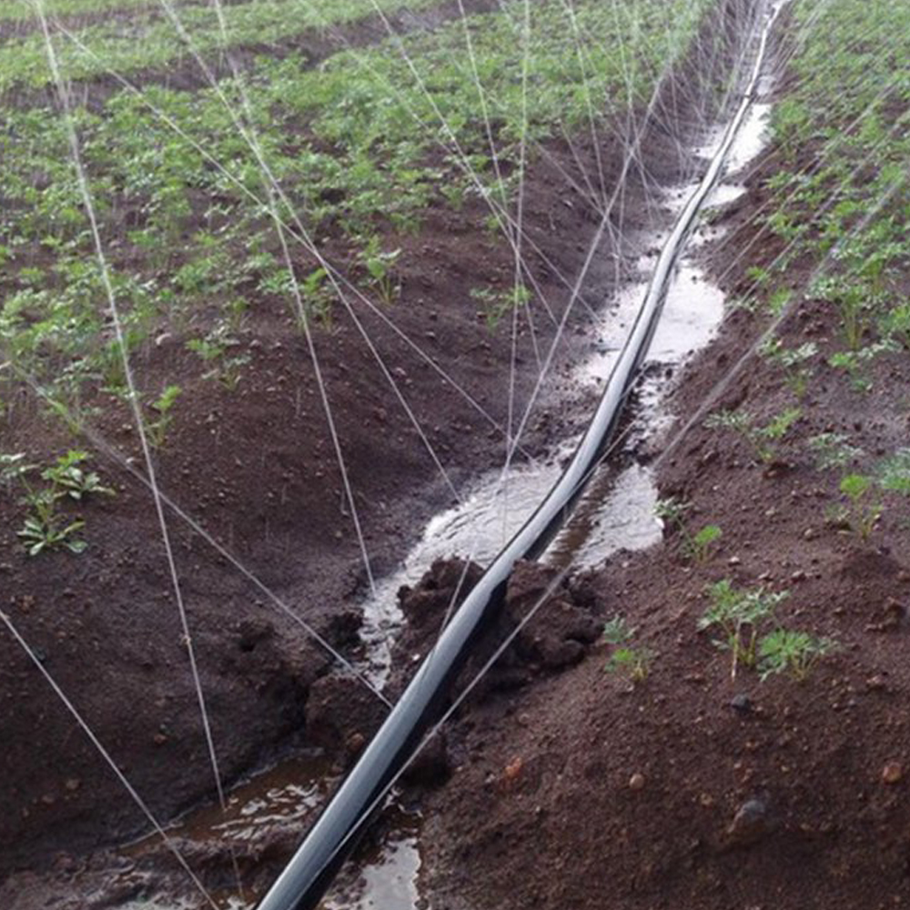 Factory Price For Steel Sign Stakes - 100% PE Drip Tape Irrigation for Vegetable – JINSHI