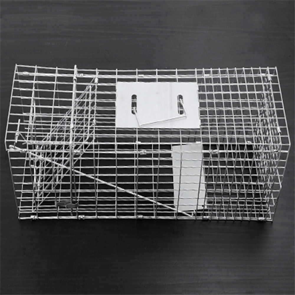 Collapsible Animal Trap Cage Wild Cat Raccoon Wire Cage Trap