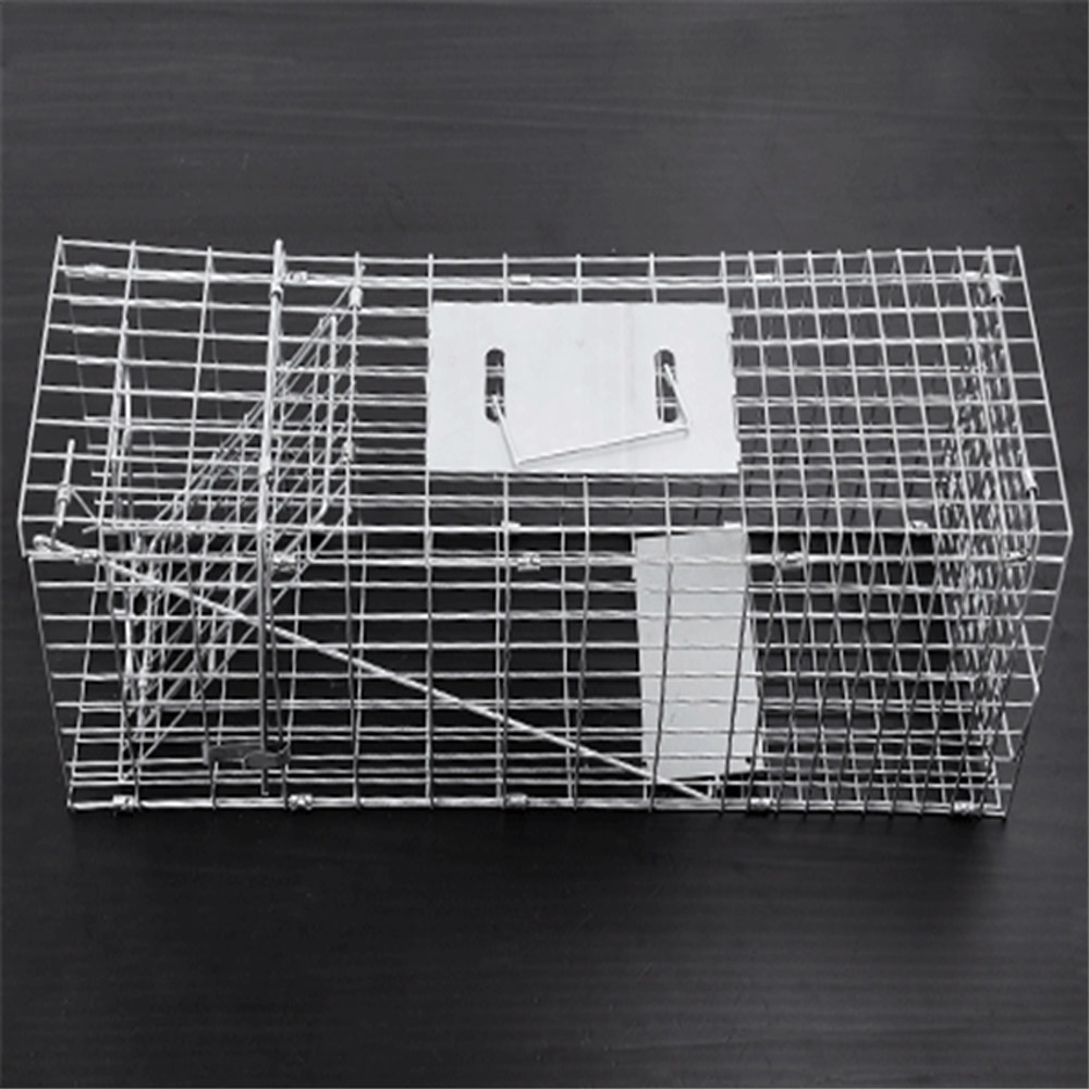 High Quality Dog Kennel - Collapsible Animal Trap Cage Wild Cat Raccoon Wire Cage Trap – JINSHI