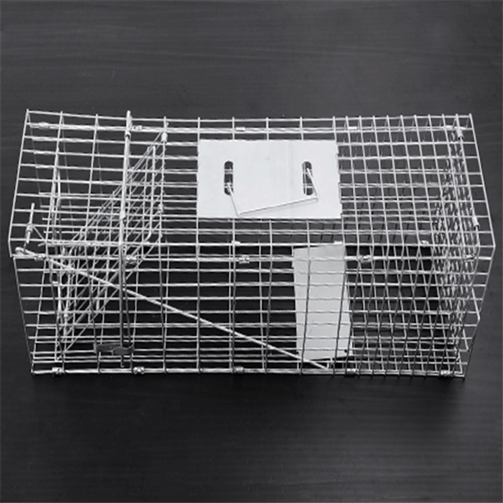 ກັບດັກສັດ Collapsible Cat Wild Cat Raccoon Wire Trap Cage