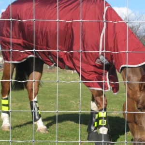 Heavy Duty Scharnier Joint Fence Cattle Mesh