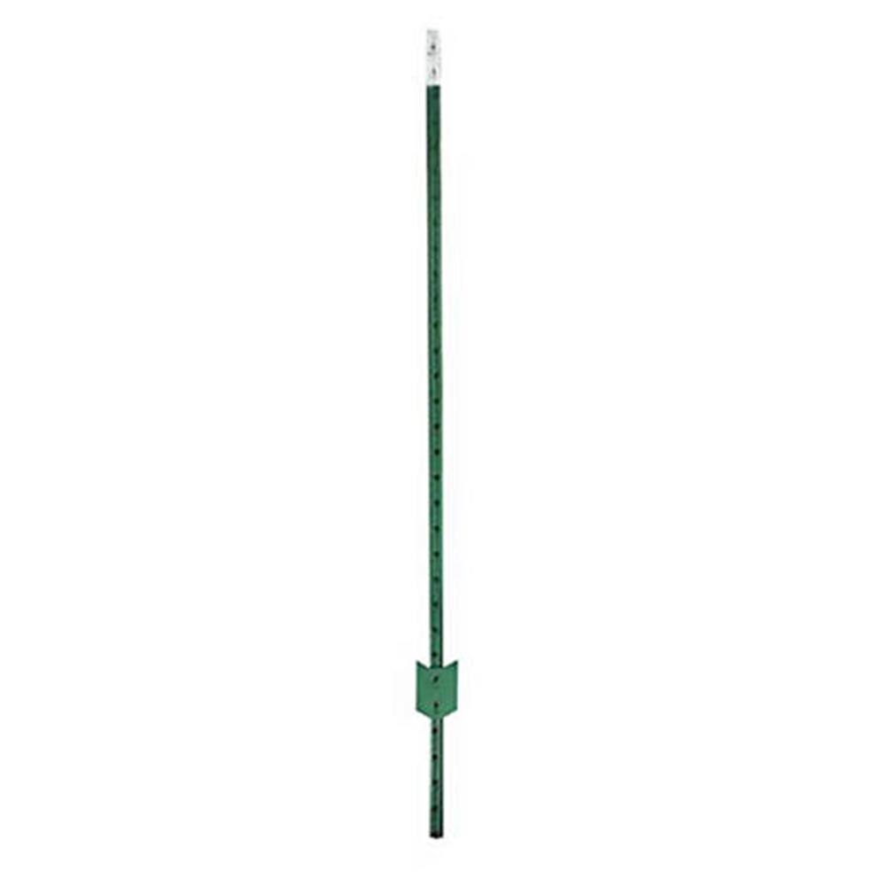 Kore mai rufi 6 ft Tree Stakes