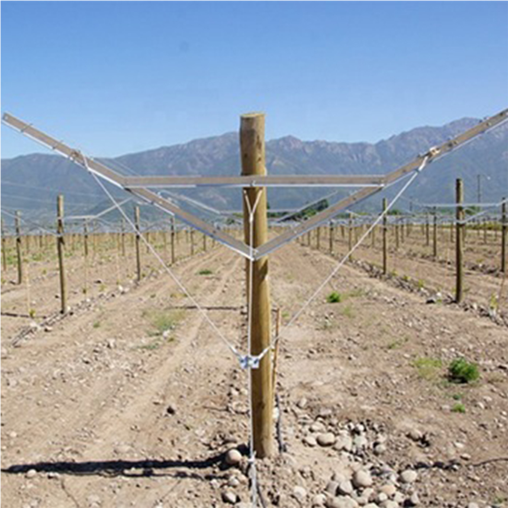 Kokybiškos „Vineyard Open Gable Trellis“ sistemos gamintojas