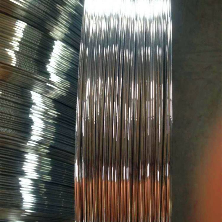 Shitjet e nxehta 2,4*3,0 mm Tregu i Brazilit Teli çeliku ovale i galvanizuar