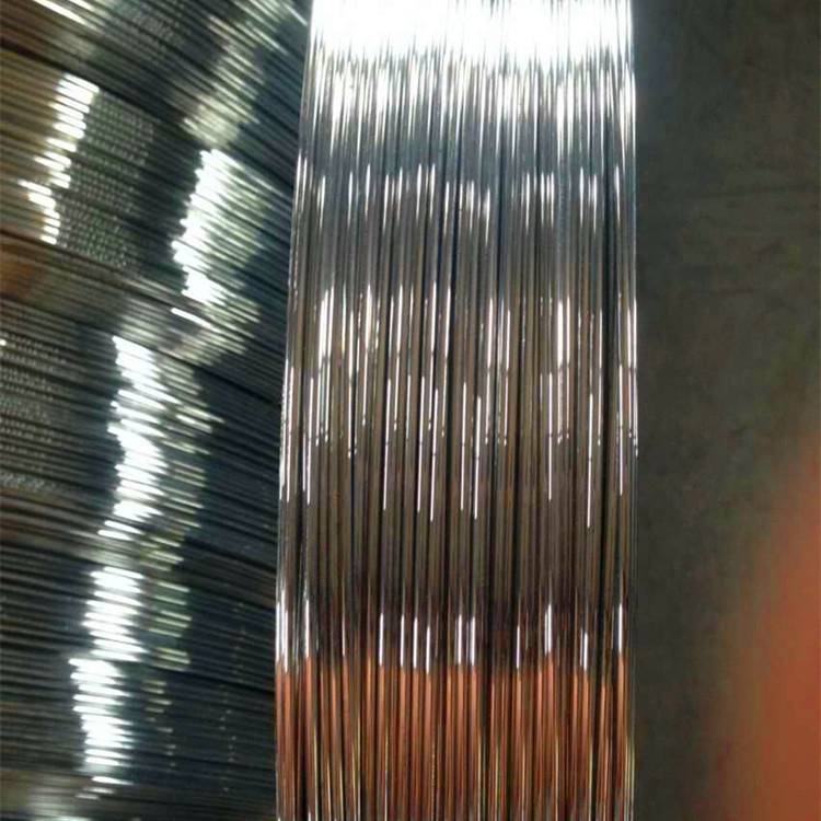 Penjualan panas 2.4 * 3.0 mm pasar Brazil Galvanized kawat baja oval