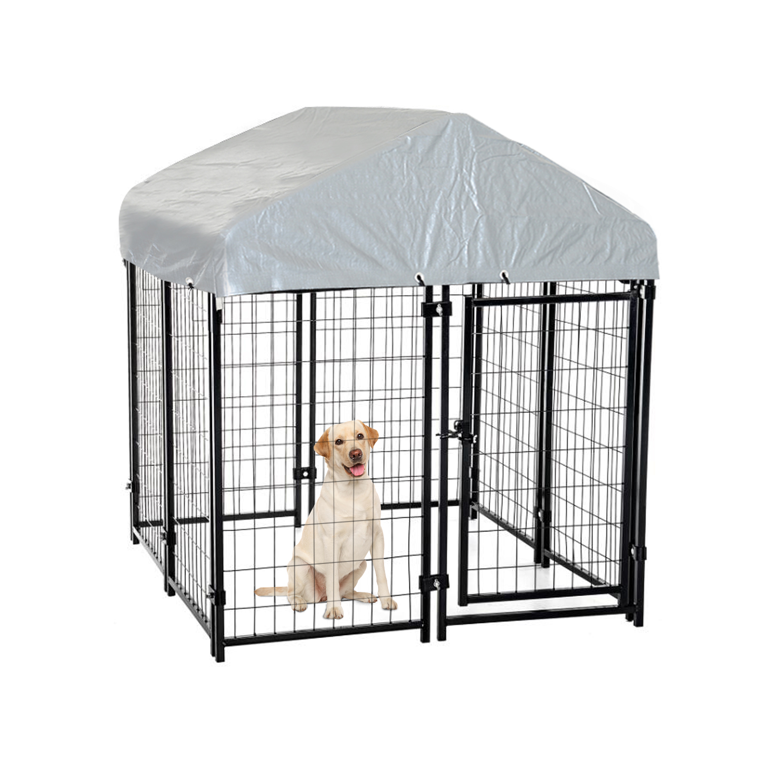 Outdoor Large Dog Cage useaan käyttöön leikkimiseen / harjoitteluun / harjoitteluun