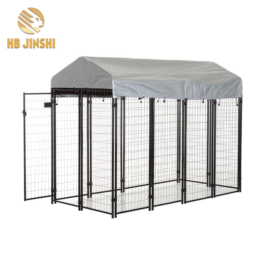 zoo dog kennel