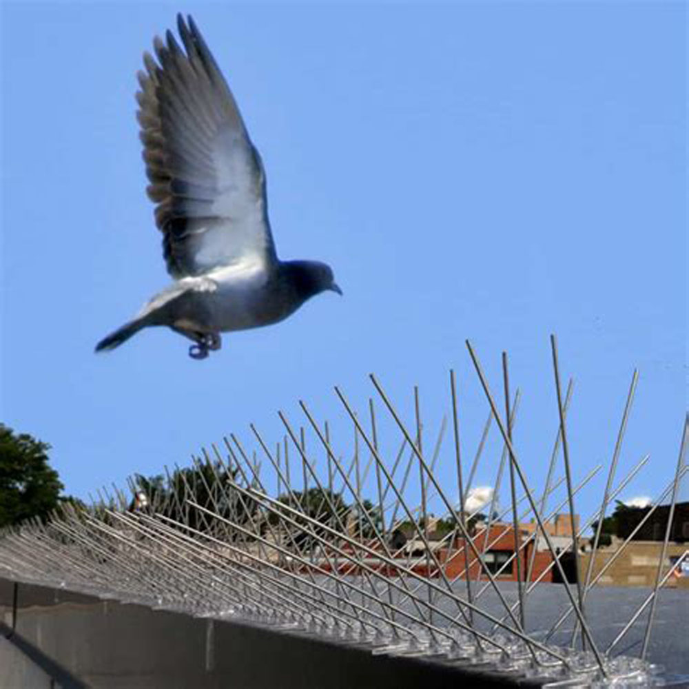 50cm 60spikes 304 Acero inoxidable Anti Bird Control Plastic Pigeon Spikes