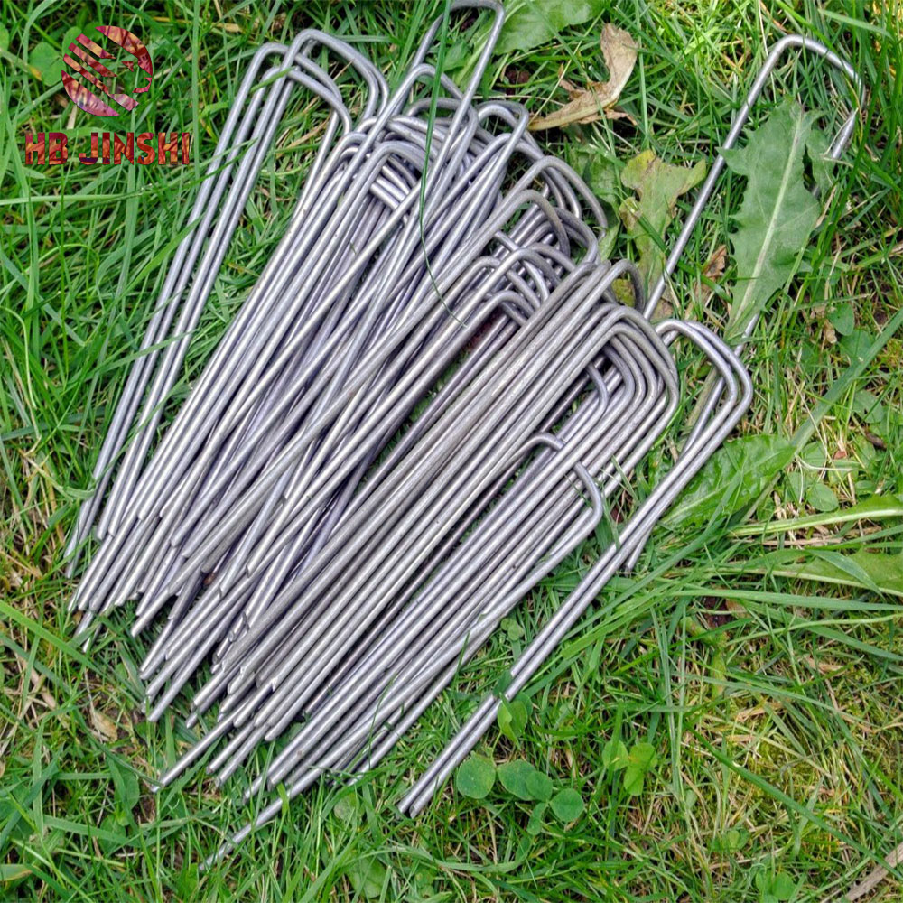 High quality Galvanized 6"  U pegs