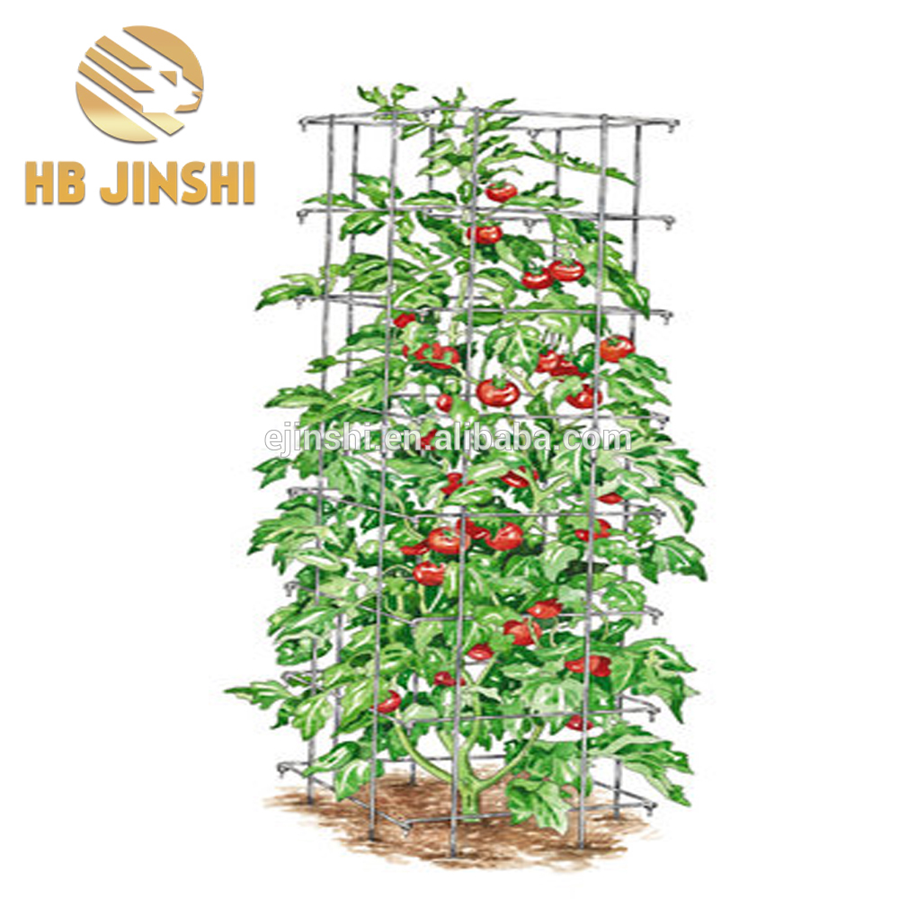 54"x16" Metal Circular Tomato Cage Plant Support