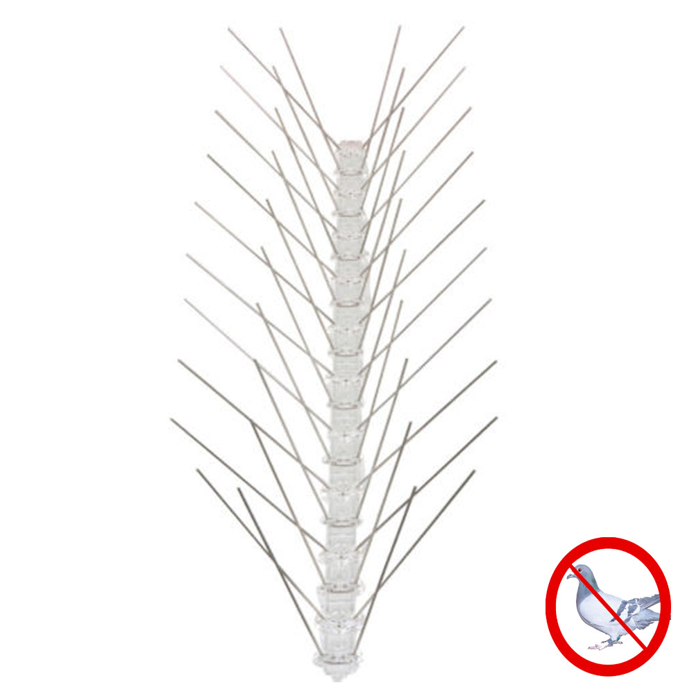 Jinshi 304 Stainless Steel Anti Bird Spikes Plastic Pigeon Spikes