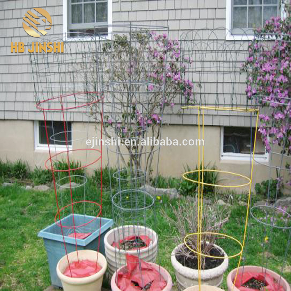 Koristeellinen puutarhakasvinsuojelutukea sisältävä tomaattihäkki