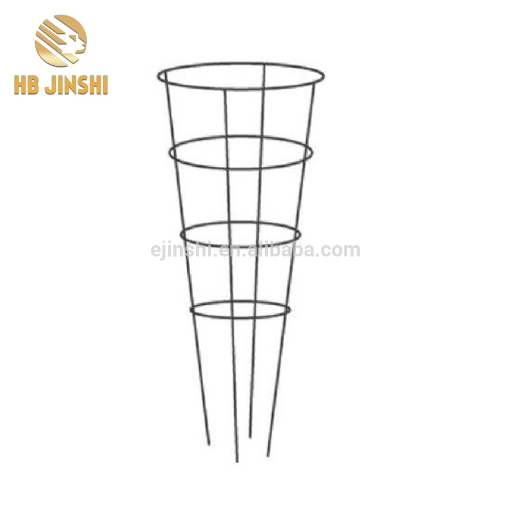 Galvanized wire frame cone tomato cage