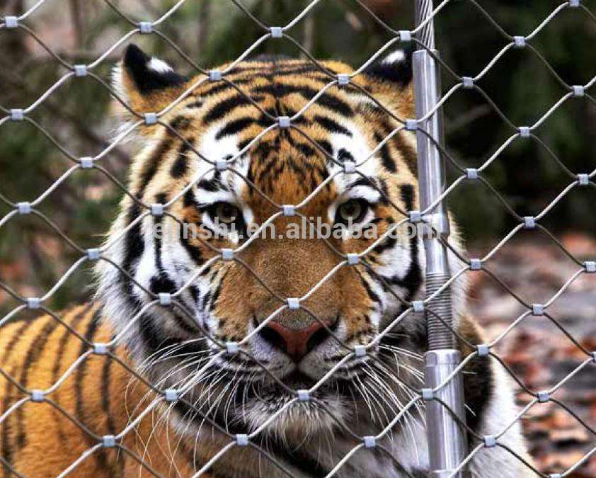 rete protettiva di corda d'acciaio inossidabile per gabbie di animali di u zoo