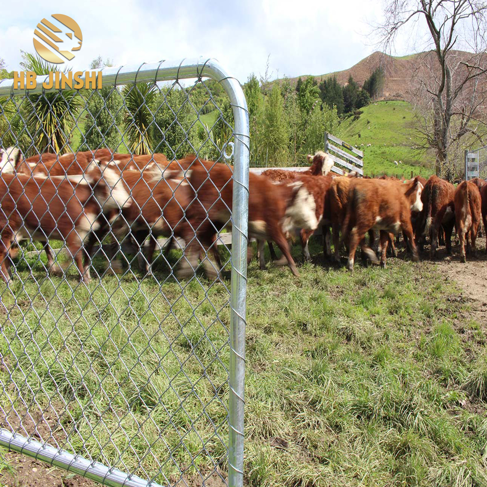 Hot Galvanized Chain Link Fence Gate