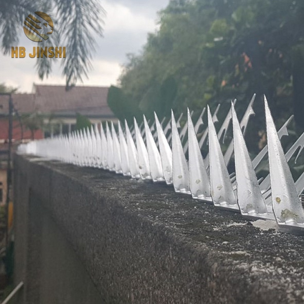 Hot-Dipped Galvanized Big Type Wall Spike 4 feet long