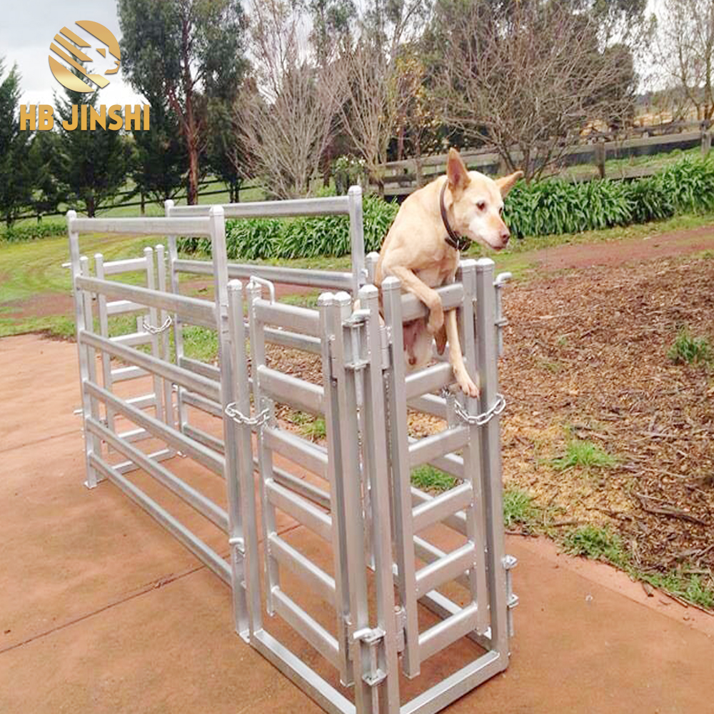 tupa at kambing kagamitan sheep race gate