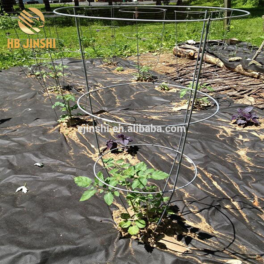 Circular tomato cages