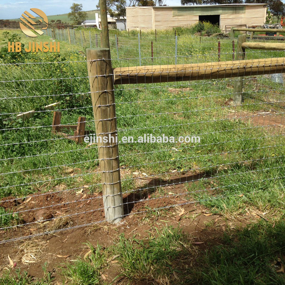 Hinge joint fencing wire field fence, farm fencing cattle fence for sale