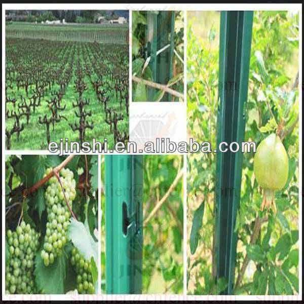 Poles for vineyard and orchard plantations