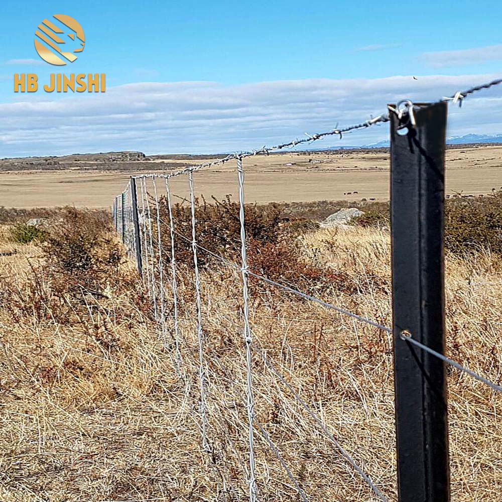 Australia New Zeland market 2.04kg/m Black Bitumen 2400 mm Y post Fencing Post/Y Star Picket