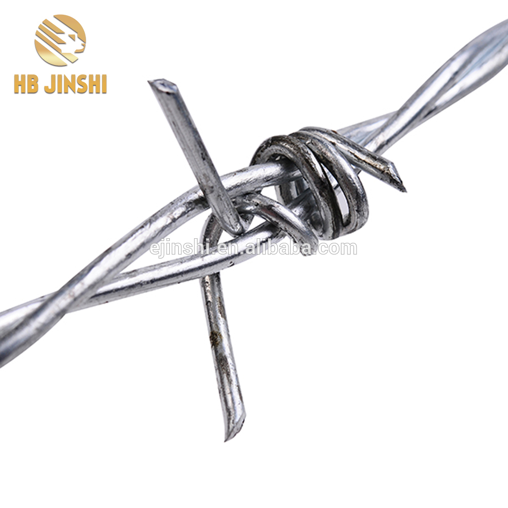 2.5mm diameter Electro Galvanized Double strand concertina Barbed wire for prision