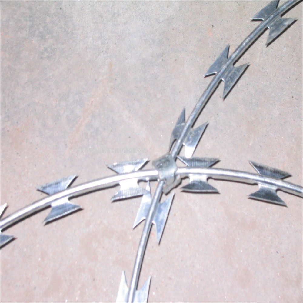 Fil de fer barbele / Razor Barbed Wire