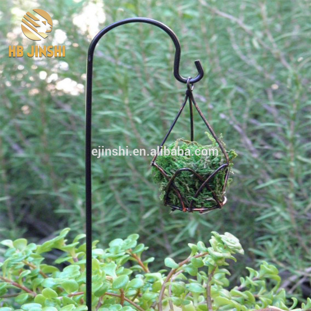 Crook Lantern Flower Holder