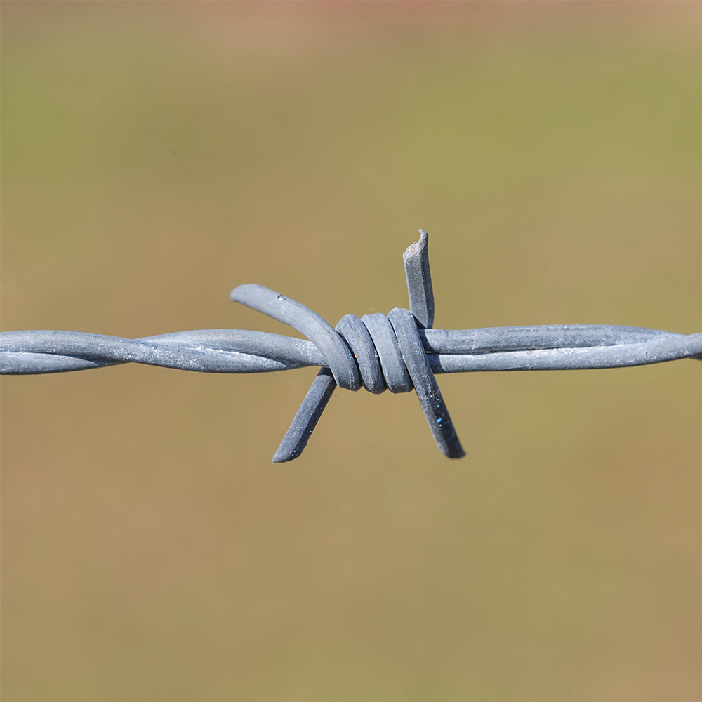 Factory supply Barbed wire price