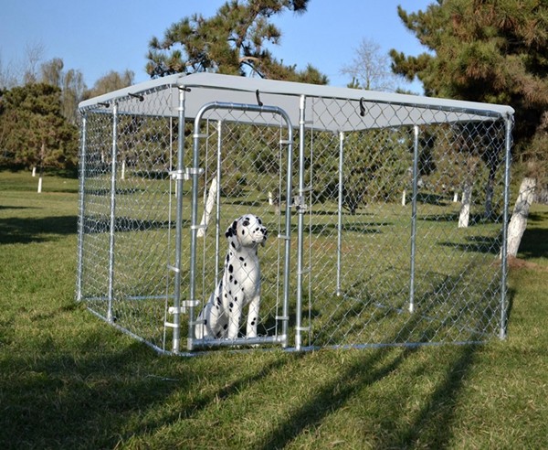 Outdoor Chain Link Dog Kennel