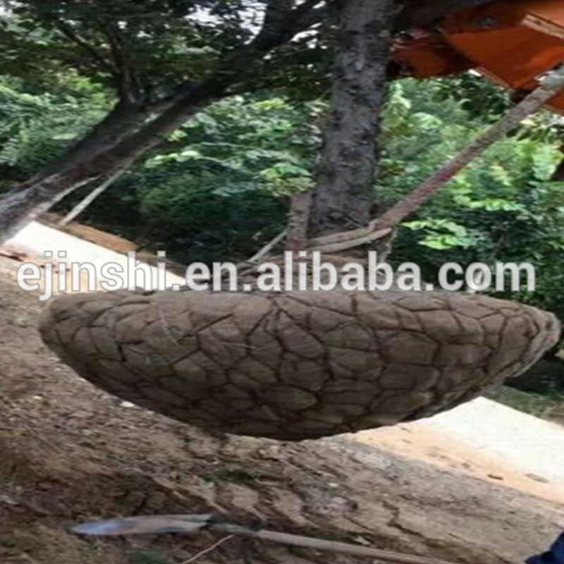 Chain link woven Tree root guard wire mesh baskets