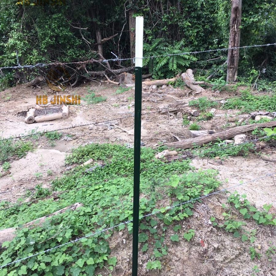 7' Green Painted American Studded T Fence Post