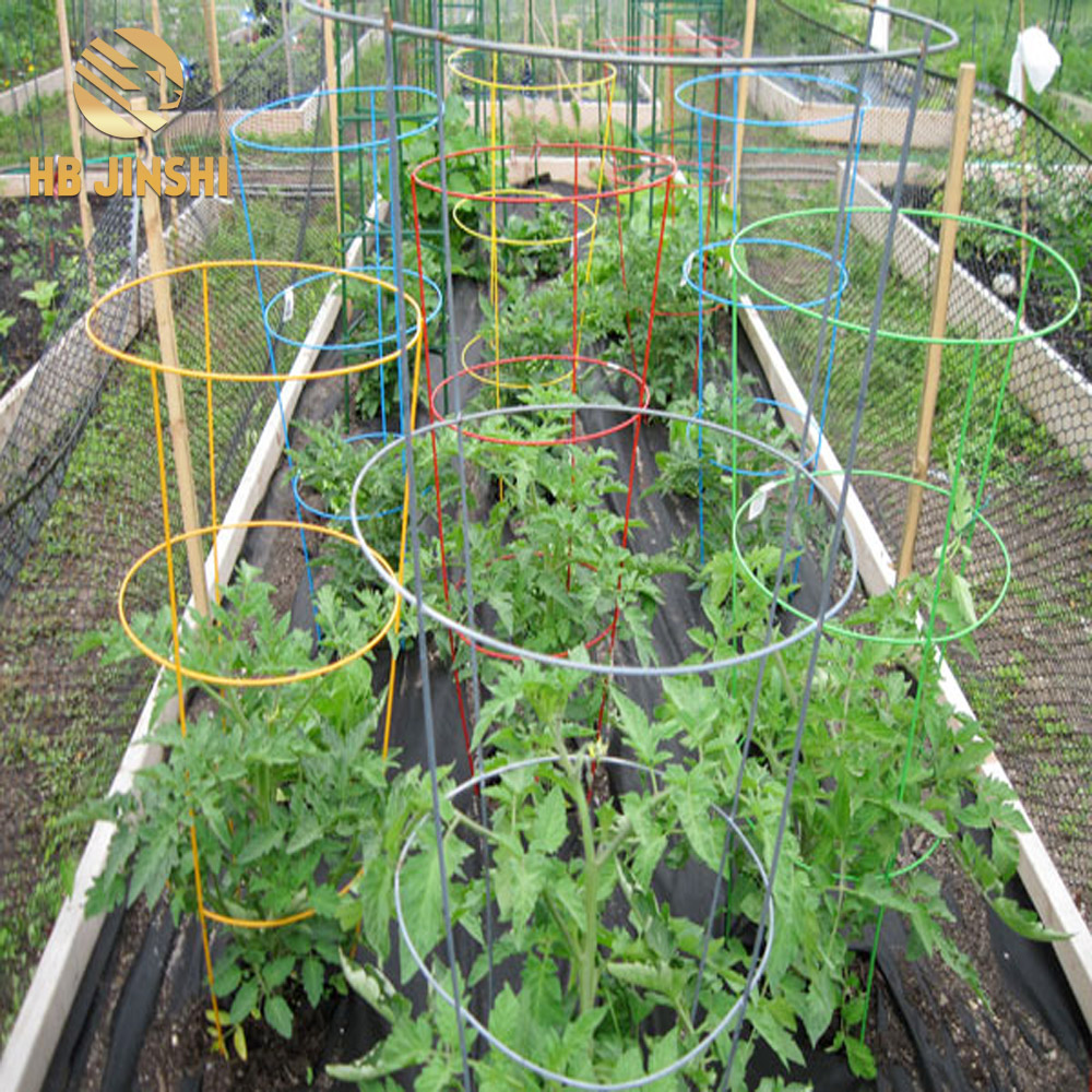 30"x18" Metal Cone Galvanized Tomato Cage Plant Support