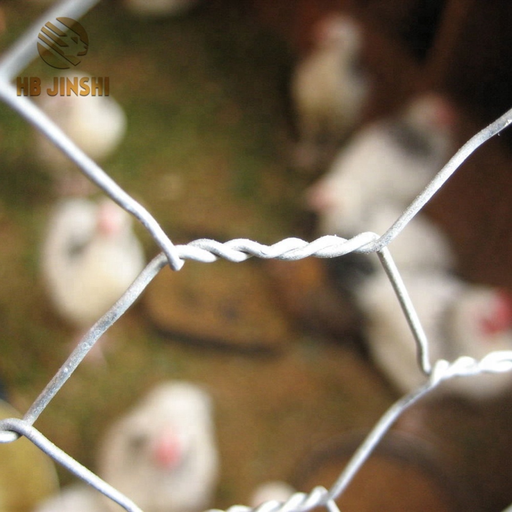 60*80 high quality and lowest price pvc coated hexagonal rabbits wire mesh/hexagonal chicken wire mesh