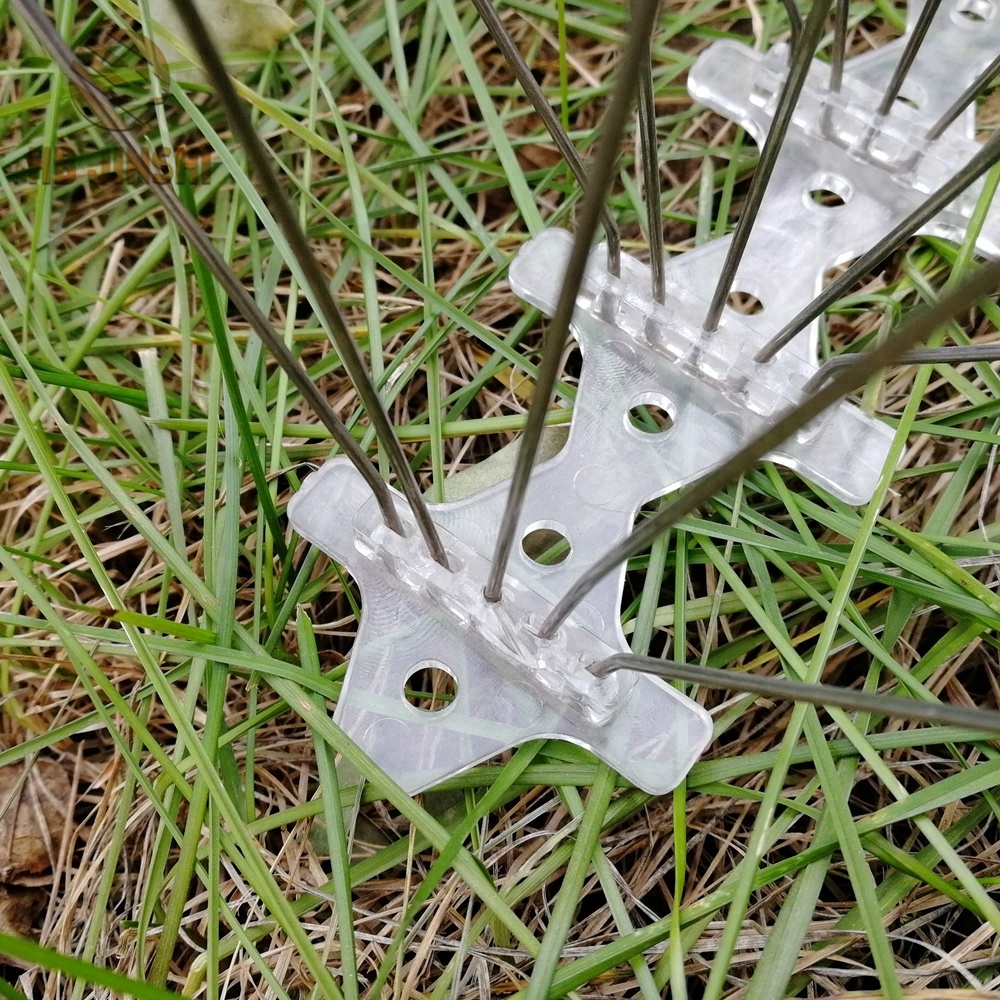 304 Smachd calman stàilinn gun staoin Smachd eun Anti Bird Spikes