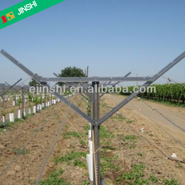 Nebatên Orchard Vine Plants Vineyard Grape Stake Hot Dipped Galvanized Metal Vineyard Trellis Post